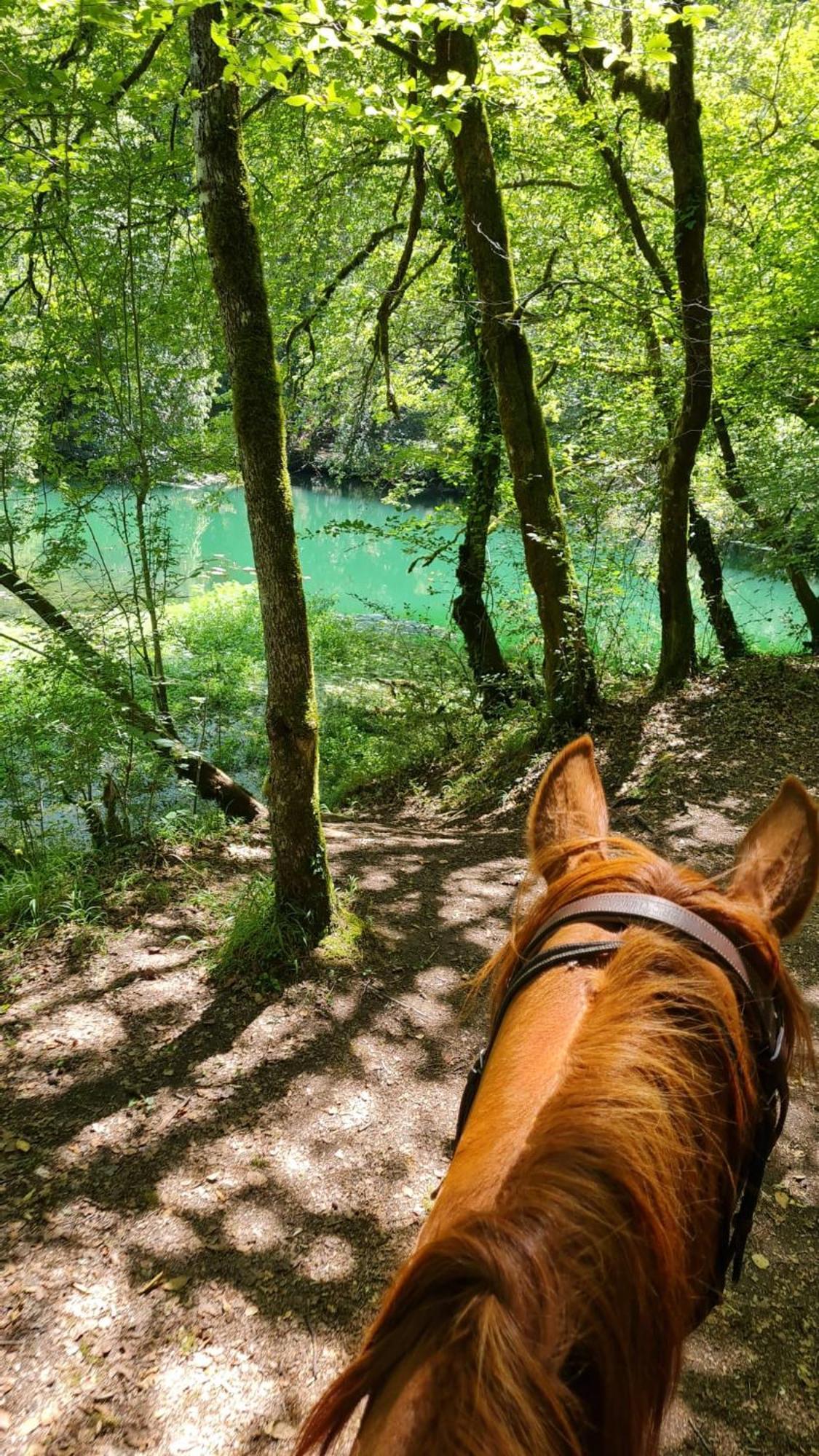 Gites Des Deux Vallees La Borieta Du Causse - ロカマドゥール エクステリア 写真